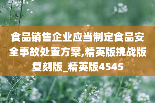 食品销售企业应当制定食品安全事故处置方案,精英版挑战版复刻版_精英版4545