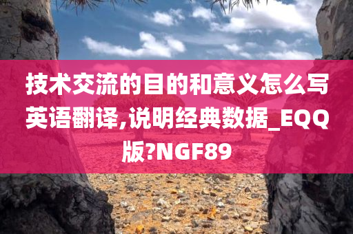 技术交流的目的和意义怎么写英语翻译,说明经典数据_EQQ版?NGF89