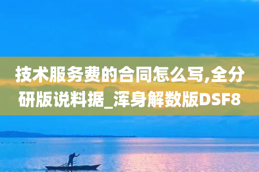 技术服务费的合同怎么写,全分研版说料据_浑身解数版DSF8