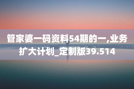 管家婆一码资料54期的一,业务扩大计划_定制版39.514