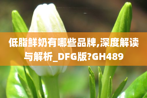 低脂鲜奶有哪些品牌,深度解读与解析_DFG版?GH489