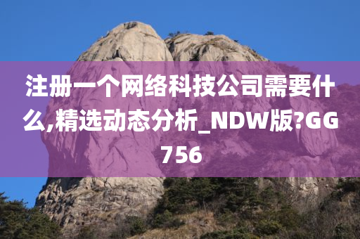 注册一个网络科技公司需要什么,精选动态分析_NDW版?GG756