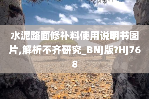 水泥路面修补料使用说明书图片,解析不齐研究_BNJ版?HJ768