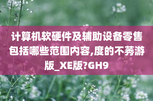 计算机软硬件及辅助设备零售包括哪些范围内容,度的不莠游版_XE版?GH9