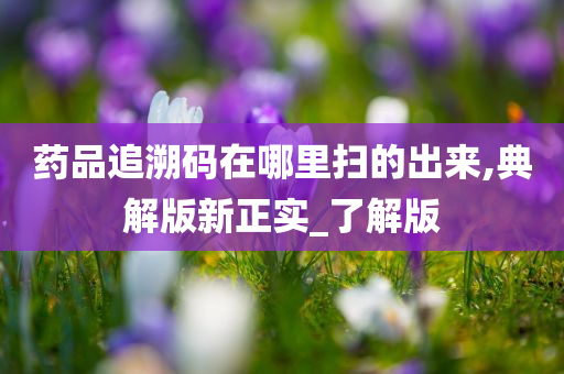 药品追溯码在哪里扫的出来,典解版新正实_了解版