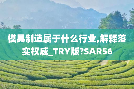 模具制造属于什么行业,解释落实权威_TRY版?SAR56