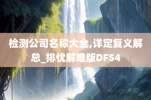 检测公司名称大全,详定复义解总_排忧解难版DFS4