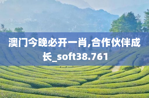 澳门今晚必开一肖,合作伙伴成长_soft38.761