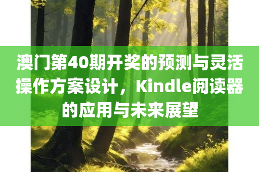 澳门第40期开奖的预测与灵活操作方案设计，Kindle阅读器的应用与未来展望