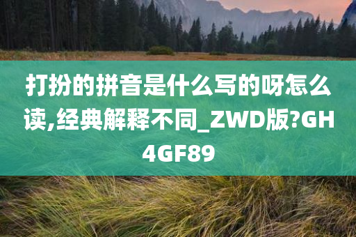 打扮的拼音是什么写的呀怎么读,经典解释不同_ZWD版?GH4GF89