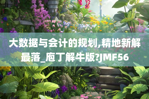 大数据与会计的规划,精地新解最落_庖丁解牛版?JMF56