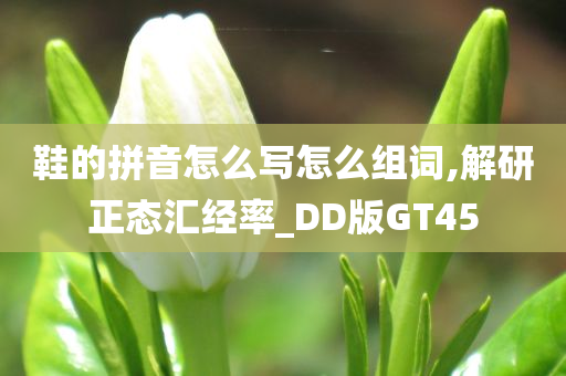 鞋的拼音怎么写怎么组词,解研正态汇经率_DD版GT45