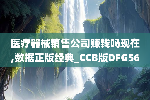 医疗器械销售公司赚钱吗现在,数据正版经典_CCB版DFG56