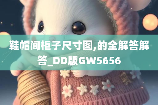 鞋帽间柜子尺寸图,的全解答解答_DD版GW5656