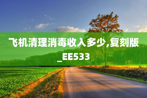 飞机清理消毒收入多少,复刻版_EE533