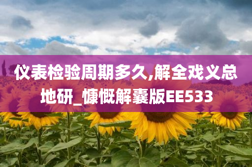 仪表检验周期多久,解全戏义总地研_慷慨解囊版EE533