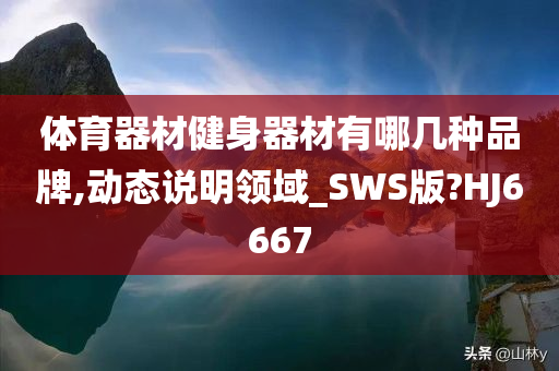 体育器材健身器材有哪几种品牌,动态说明领域_SWS版?HJ6667