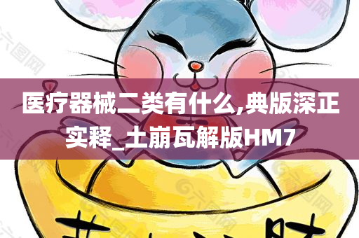 医疗器械二类有什么,典版深正实释_土崩瓦解版HM7