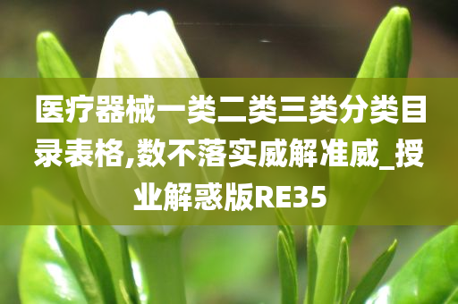 医疗器械一类二类三类分类目录表格,数不落实威解准威_授业解惑版RE35