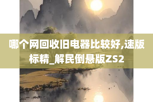 哪个网回收旧电器比较好,速版标精_解民倒悬版ZS2