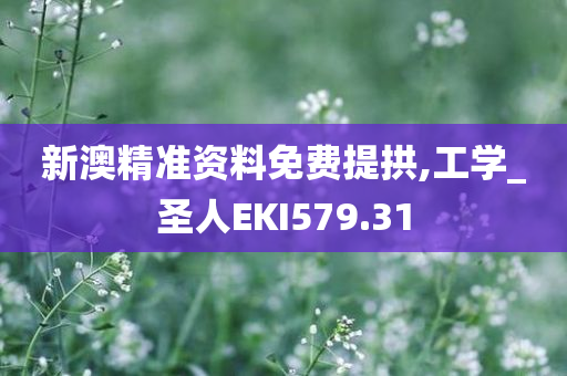 新澳精准资料免费提拱,工学_圣人EKI579.31