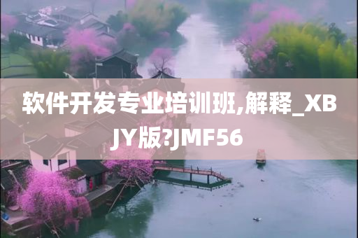 软件开发专业培训班,解释_XBJY版?JMF56