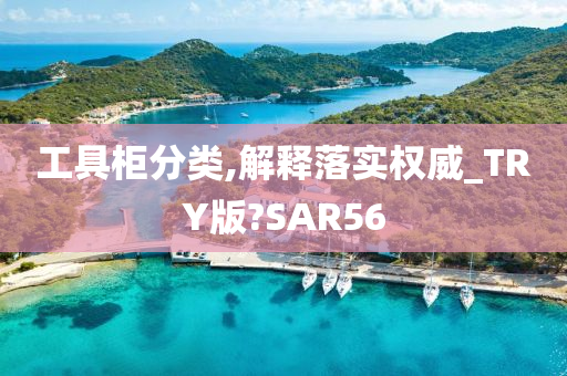 工具柜分类,解释落实权威_TRY版?SAR56