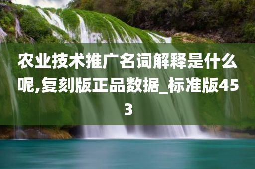 农业技术推广名词解释是什么呢,复刻版正品数据_标准版453