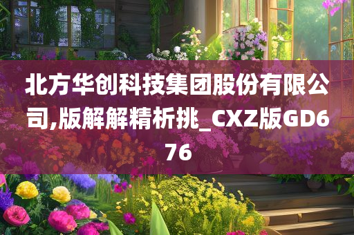 北方华创科技集团股份有限公司,版解解精析挑_CXZ版GD676