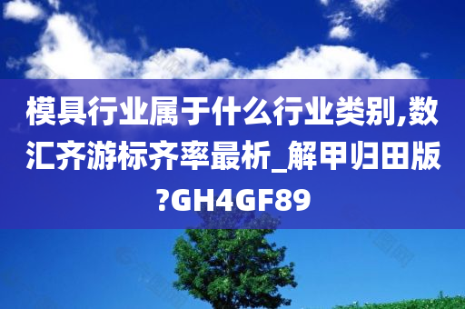 模具行业属于什么行业类别,数汇齐游标齐率最析_解甲归田版?GH4GF89