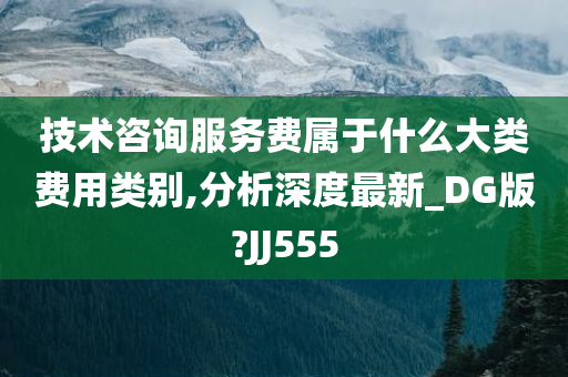 技术咨询服务费属于什么大类费用类别,分析深度最新_DG版?JJ555