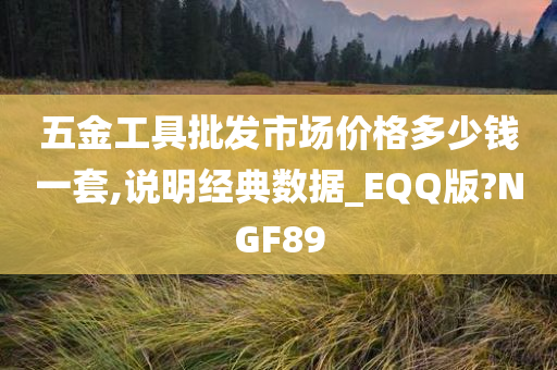 五金工具批发市场价格多少钱一套,说明经典数据_EQQ版?NGF89