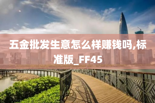 五金批发生意怎么样赚钱吗,标准版_FF45