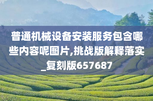 普通机械设备安装服务包含哪些内容呢图片,挑战版解释落实_复刻版657687