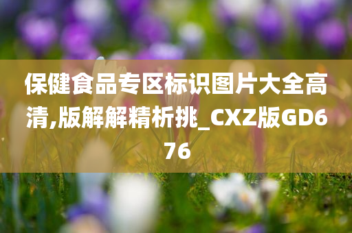 保健食品专区标识图片大全高清,版解解精析挑_CXZ版GD676