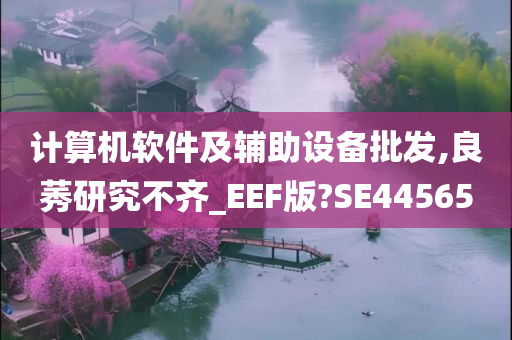 计算机软件及辅助设备批发,良莠研究不齐_EEF版?SE44565