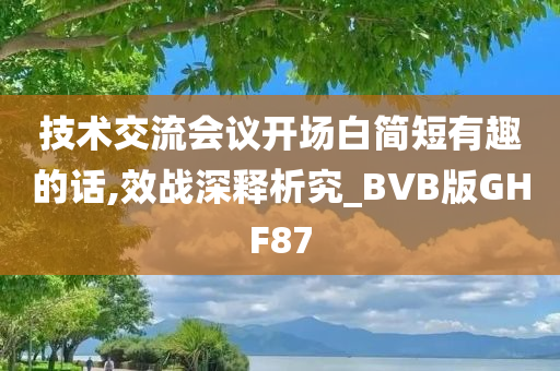 技术交流会议开场白简短有趣的话,效战深释析究_BVB版GHF87