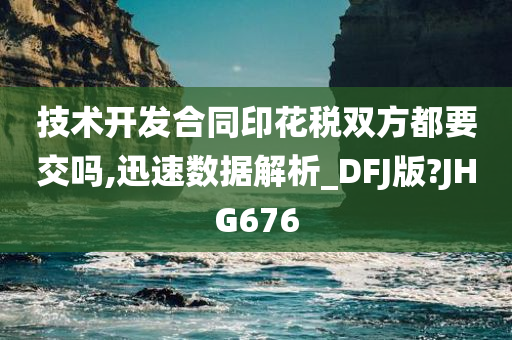 技术开发合同印花税双方都要交吗,迅速数据解析_DFJ版?JHG676