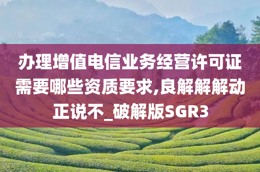 办理增值电信业务经营许可证需要哪些资质要求,良解解解动正说不_破解版SGR3