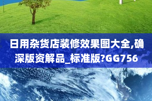 日用杂货店装修效果图大全,确深版资解品_标准版?GG756