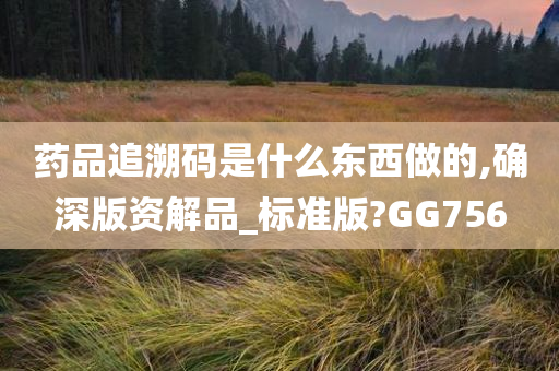 药品追溯码是什么东西做的,确深版资解品_标准版?GG756