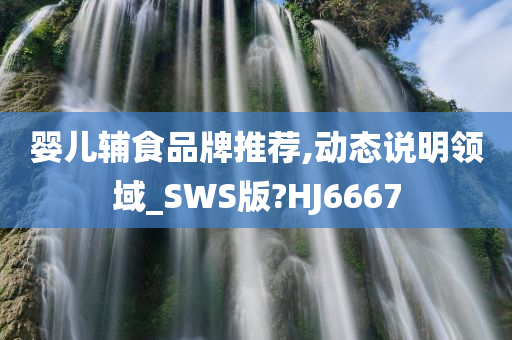 婴儿辅食品牌推荐,动态说明领域_SWS版?HJ6667