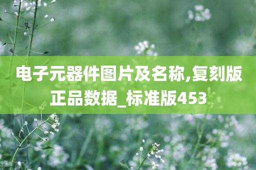 电子元器件图片及名称,复刻版正品数据_标准版453