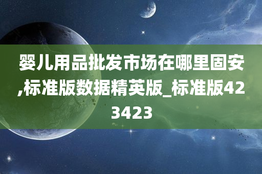 婴儿用品批发市场在哪里固安,标准版数据精英版_标准版423423