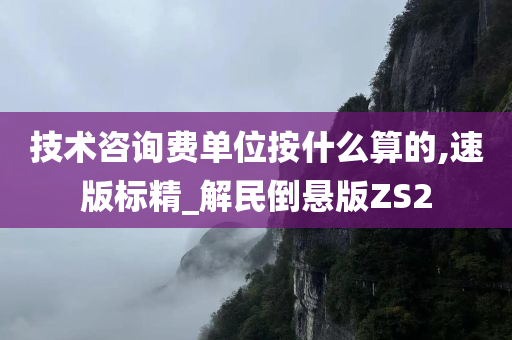 技术咨询费单位按什么算的,速版标精_解民倒悬版ZS2