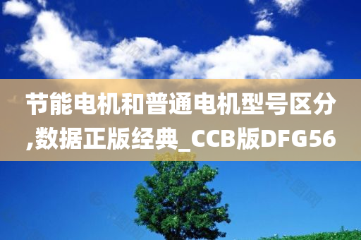 节能电机和普通电机型号区分,数据正版经典_CCB版DFG56