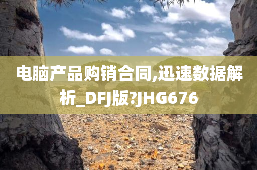 电脑产品购销合同,迅速数据解析_DFJ版?JHG676