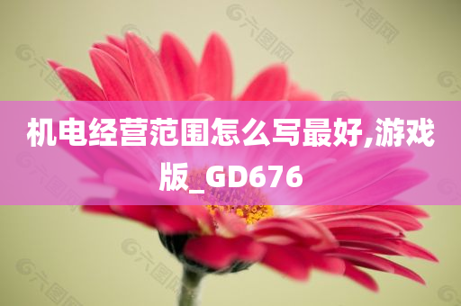 机电经营范围怎么写最好,游戏版_GD676