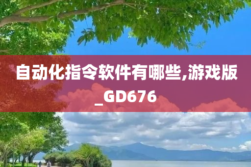 自动化指令软件有哪些,游戏版_GD676