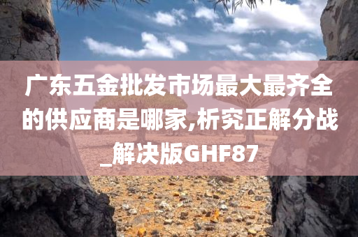 广东五金批发市场最大最齐全的供应商是哪家,析究正解分战_解决版GHF87